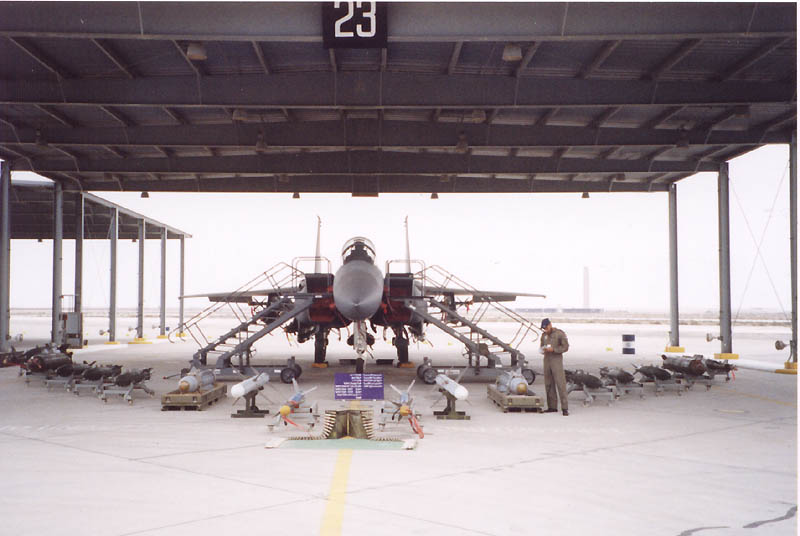 Royal_Saudi_Air_Force_F-15S_Eagle